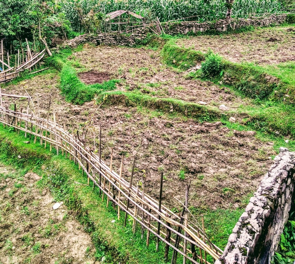 img_20180522_100806648_hdr