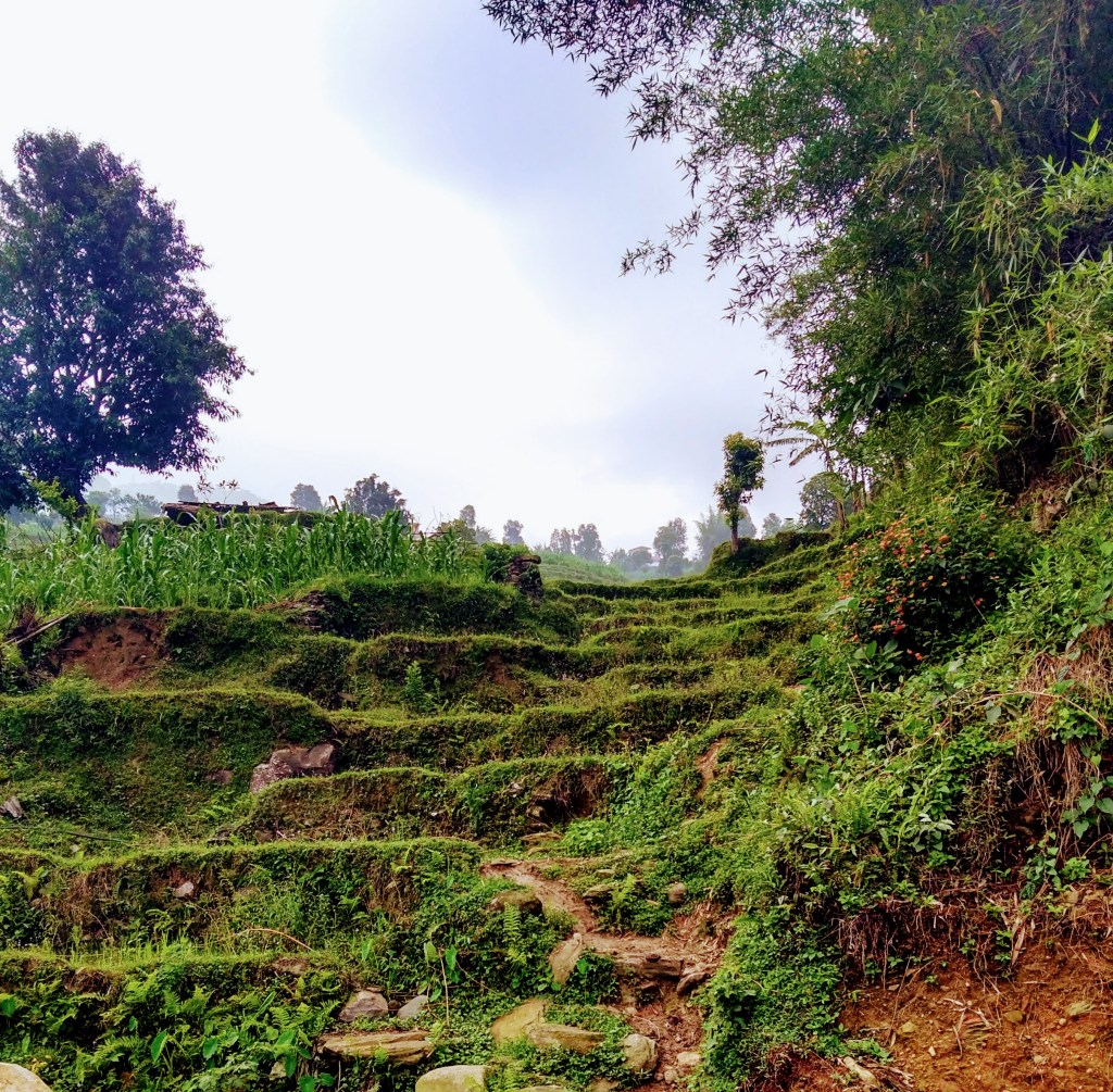 img_20180523_070604854_hdr